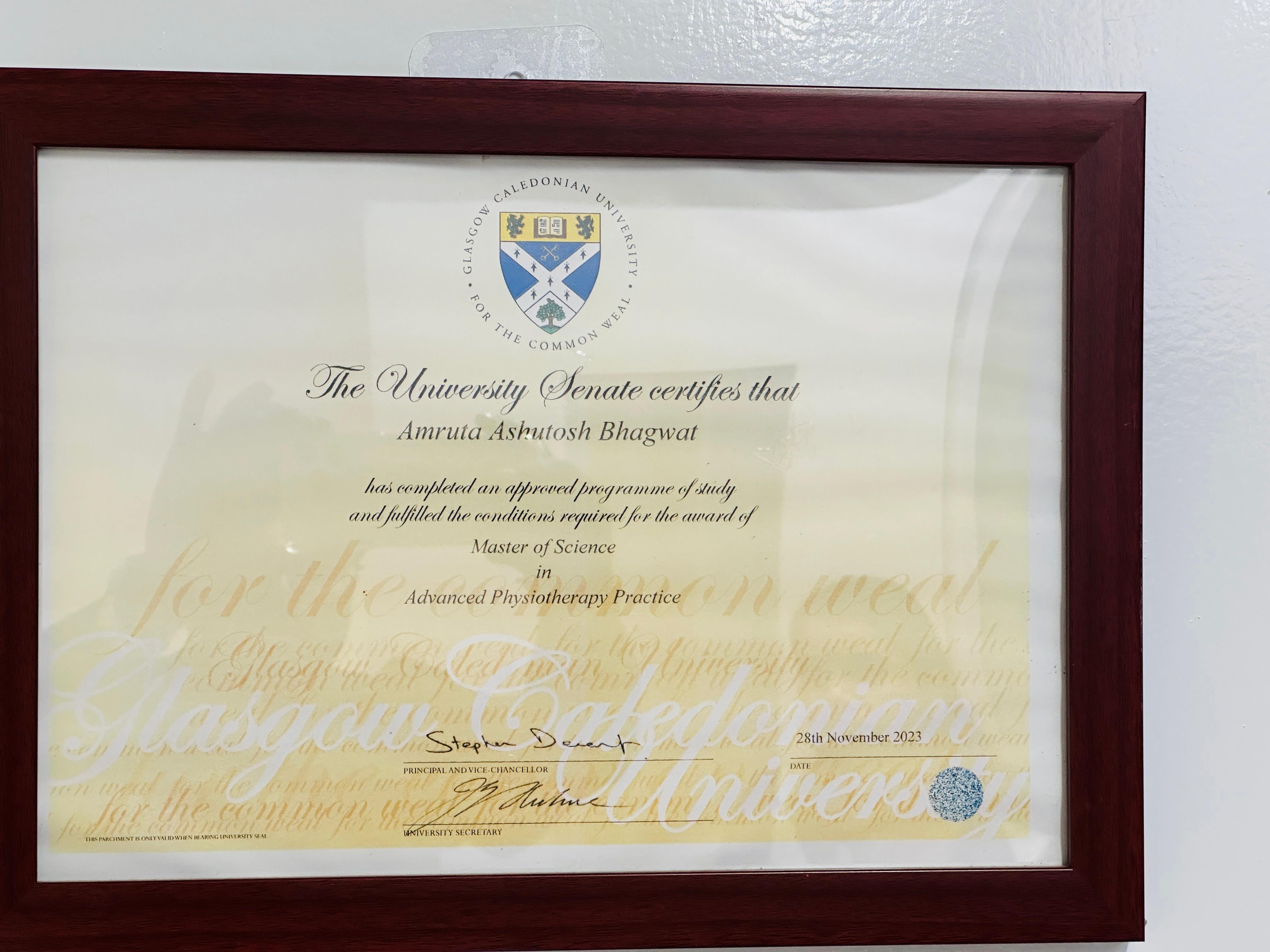 Professional Certificate 2