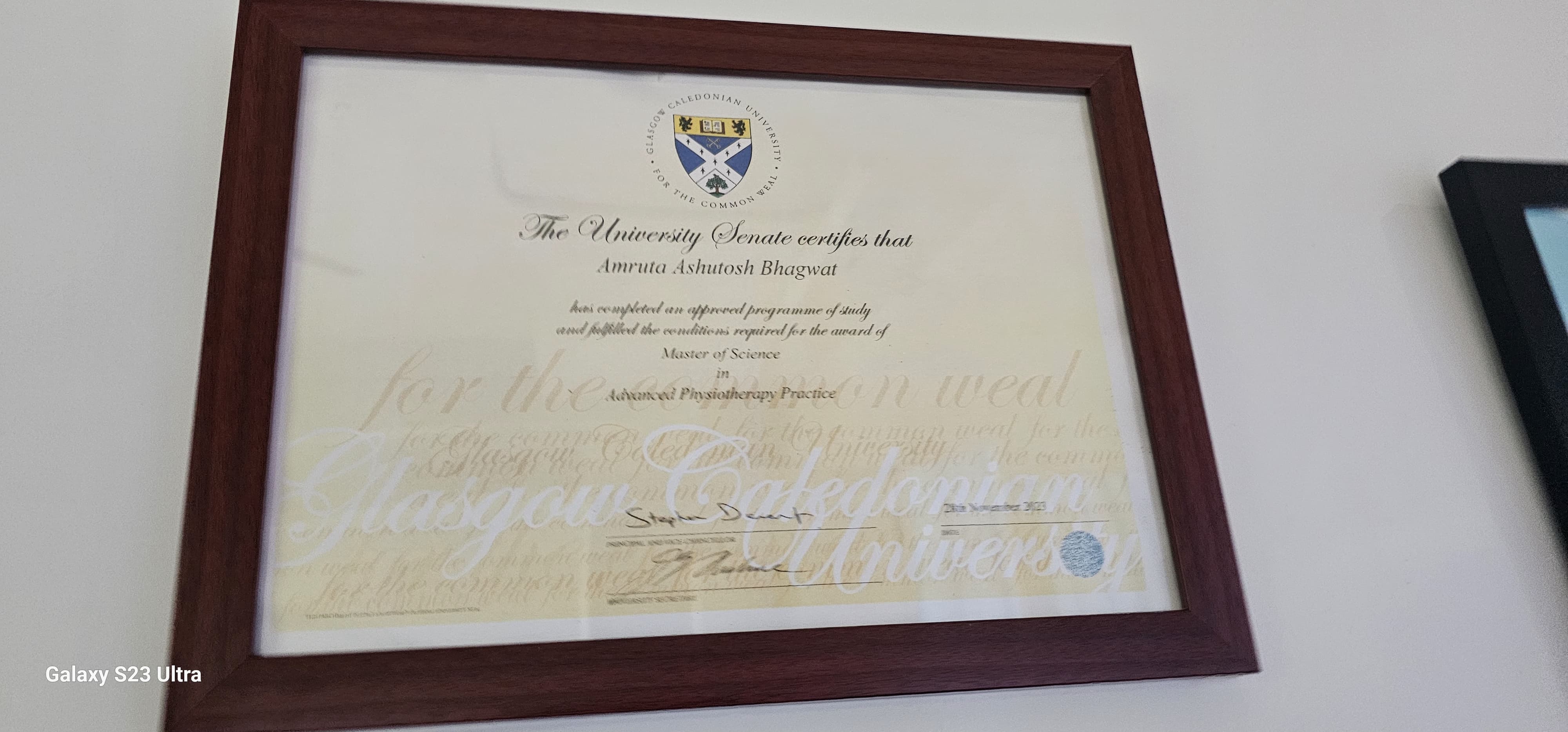 Professional Certificate 5