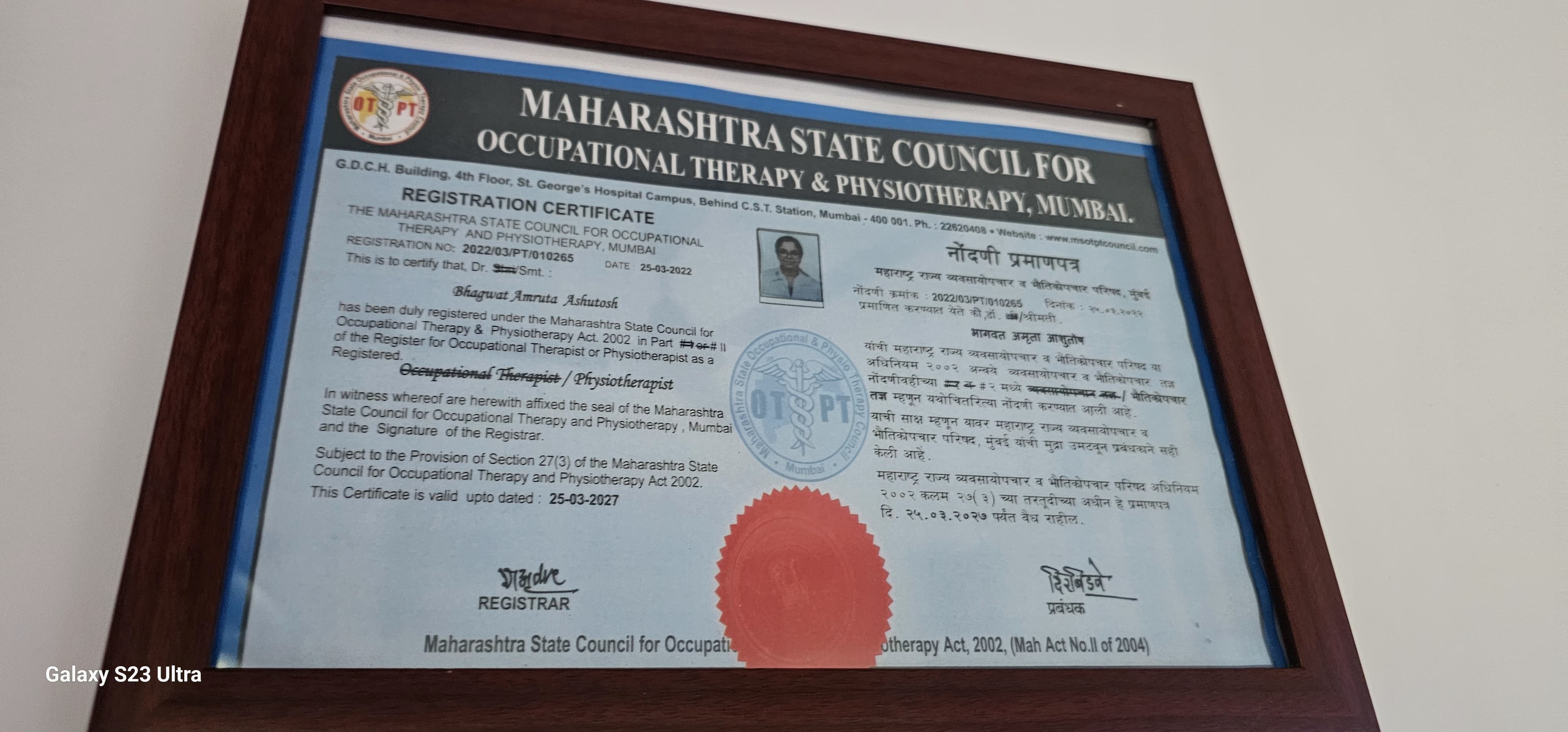 Professional Certificate 6