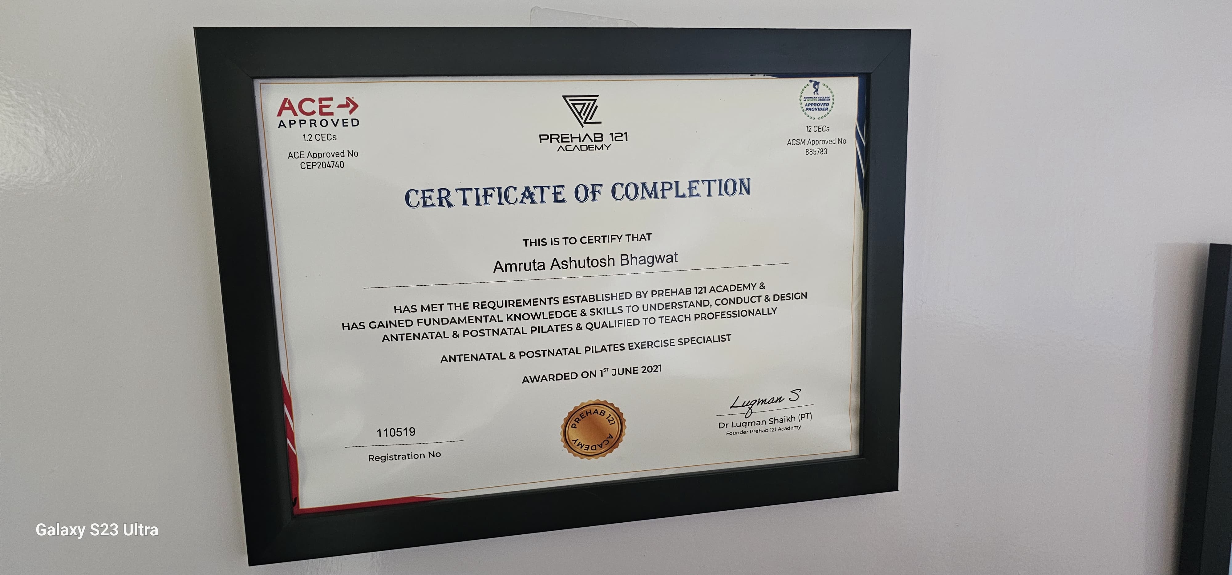 Professional Certificate 7