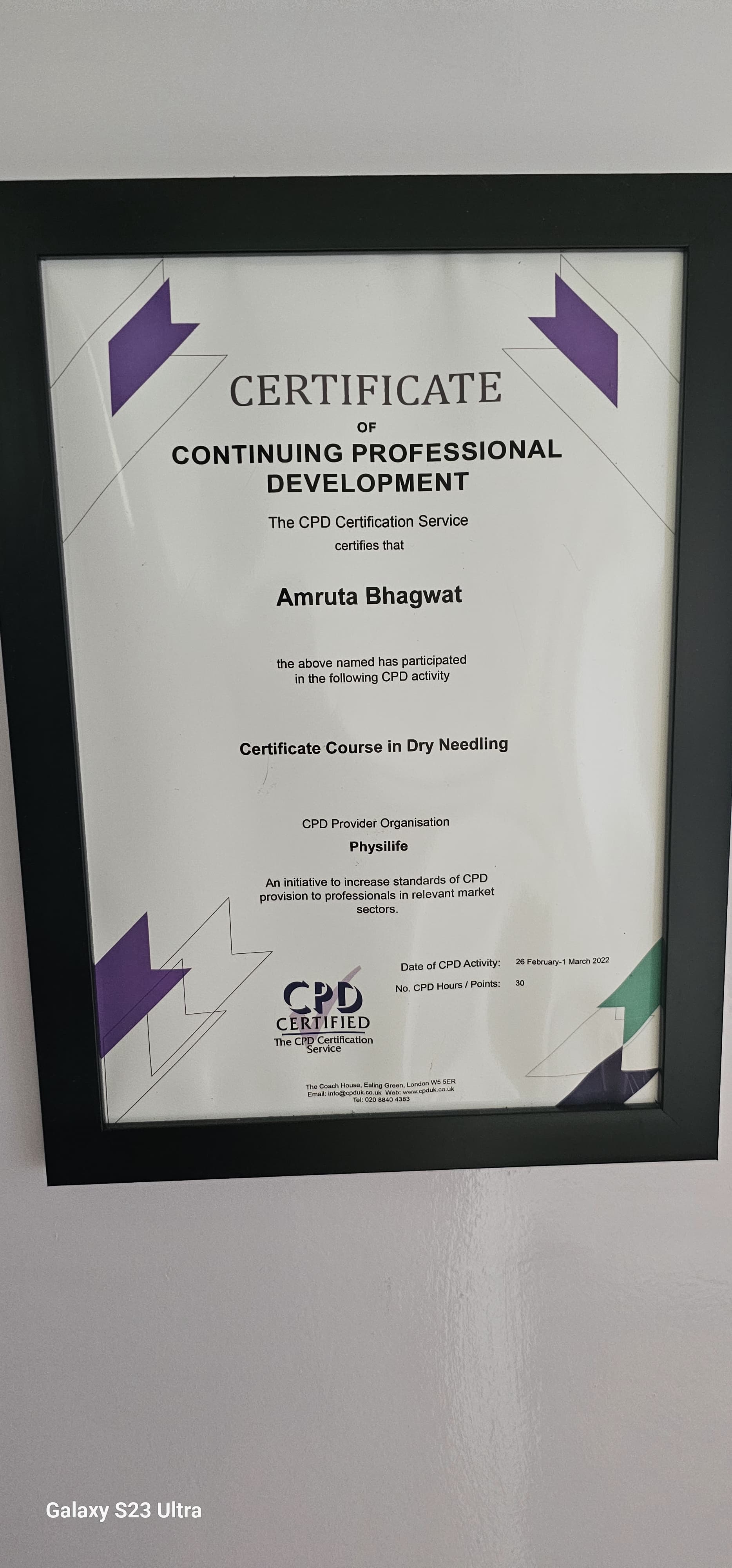 Professional Certificate 8