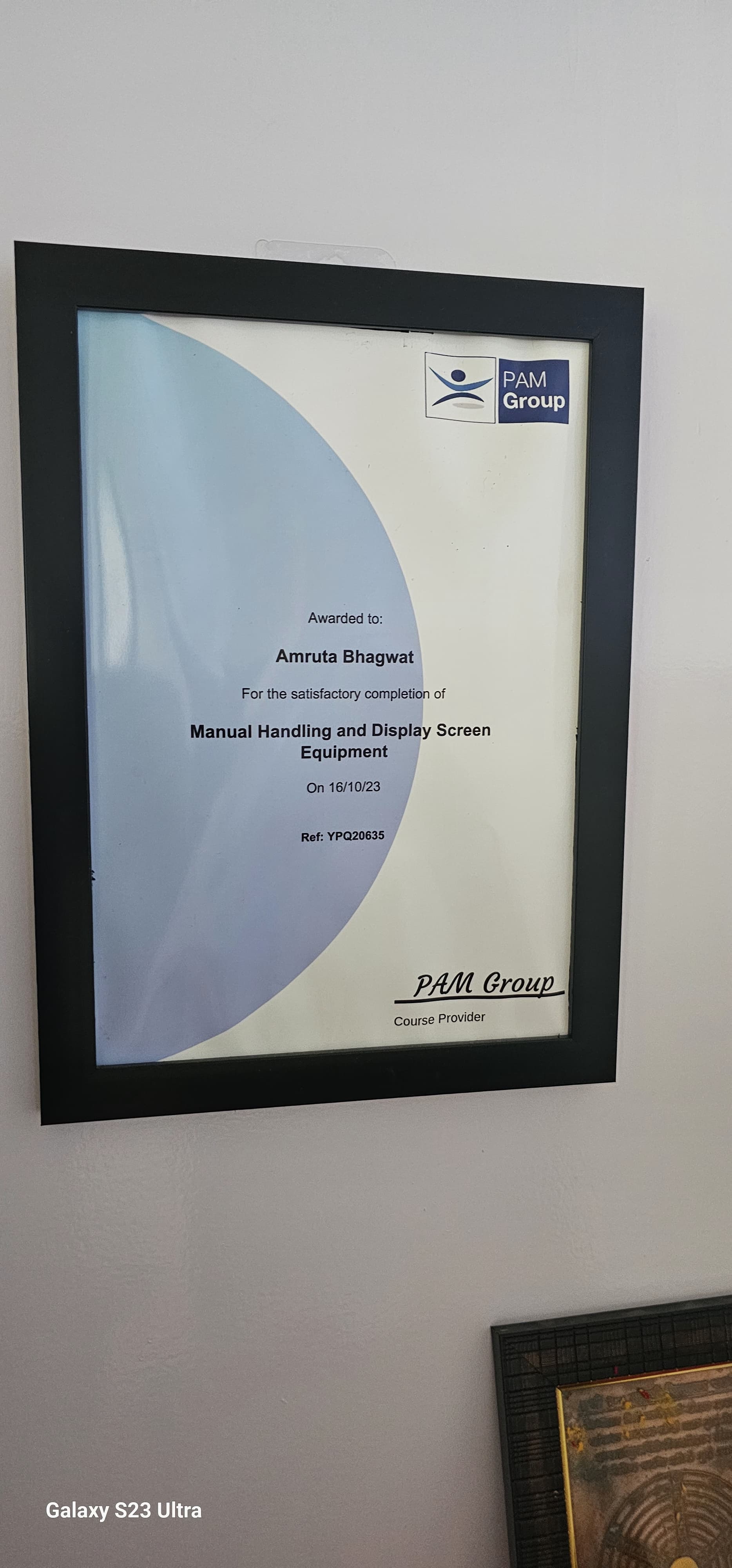 Professional Certificate 9